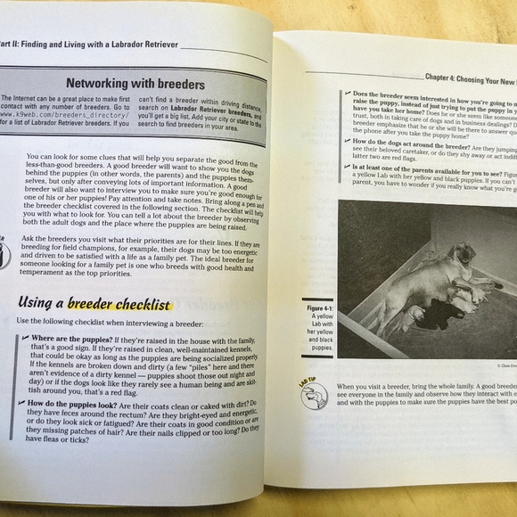 Labrador Retrievers for Dummies Paperback - Picture 4 of 8
